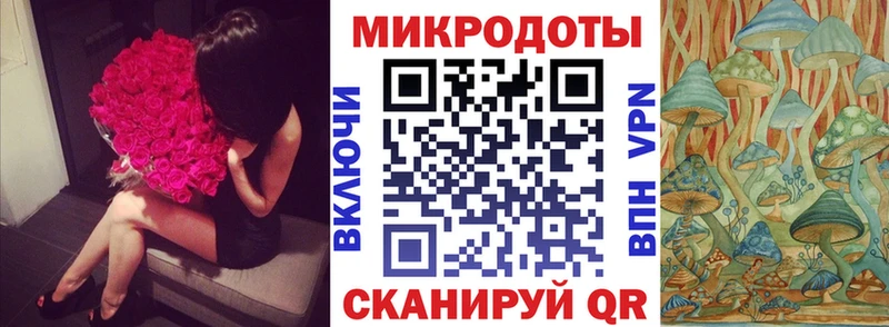 купить закладку  Северо-Курильск  Псилоцибиновые грибы мицелий 